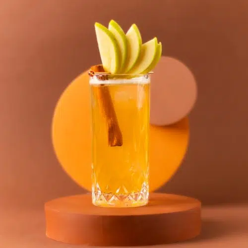 Bourbon Apple Cider Cocktail Drink
