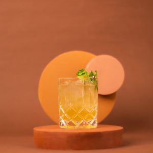 Bourbon Lemonade Cocktail Drink
