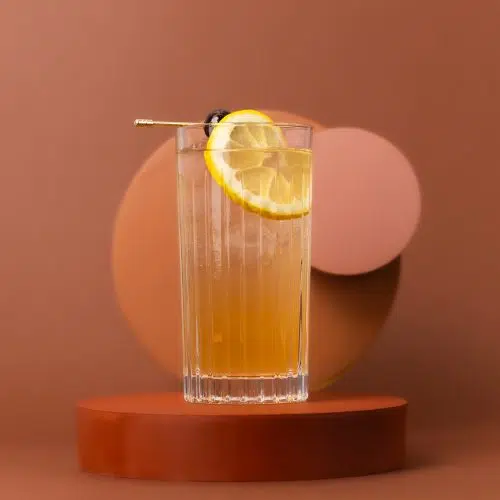 Bourbon Sling Cocktail Drink
