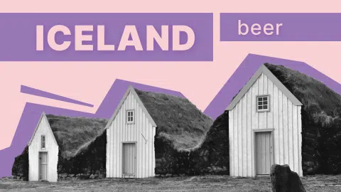 Houses in iceland - lady brewery feature