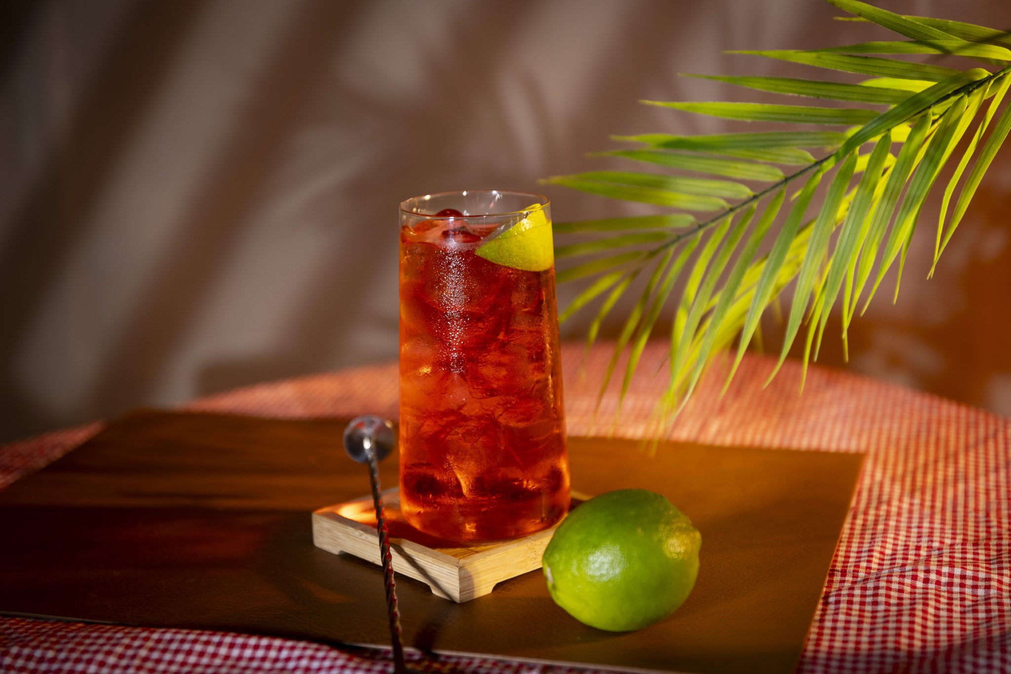 A side shot of a Cranberry Vodka Spritzer cocktail in a highball glass on a wooden coaster placed on a wooden tray surrounded by a bar spoon and a lime, with a parlor palm branch behind