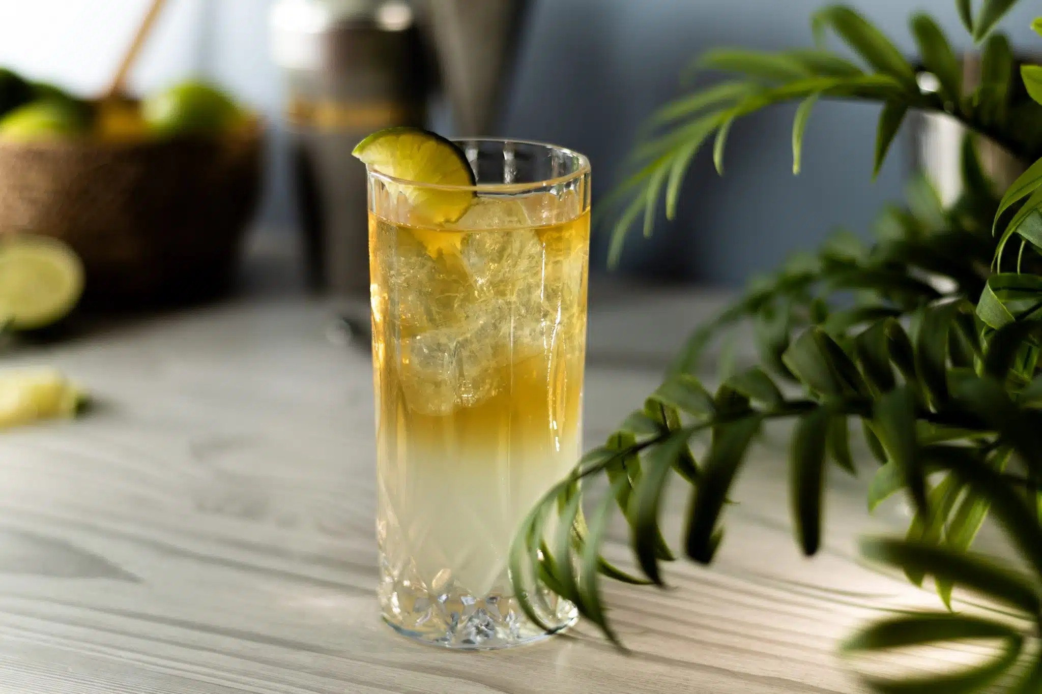 A side shot of a Dark and Stormy cocktail in a highball glass on a table, and plant leaves on the side.