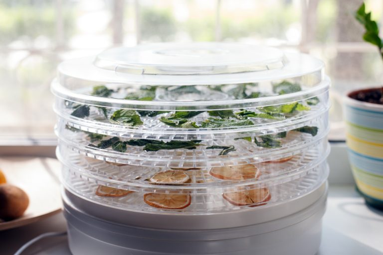 Mint Storage Best Ways to Store Mint to Keep It Fresh