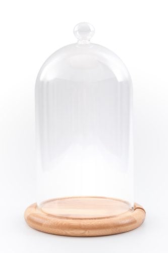 A glass dome with a wooden board isolated on a white background