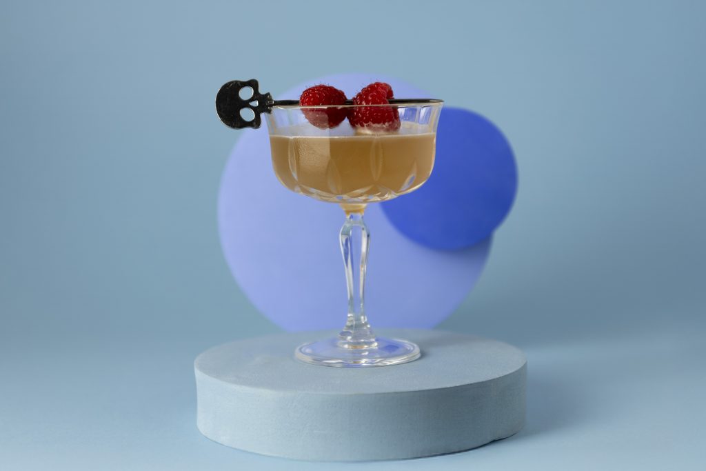 Raspberry Martini Cocktail Drink