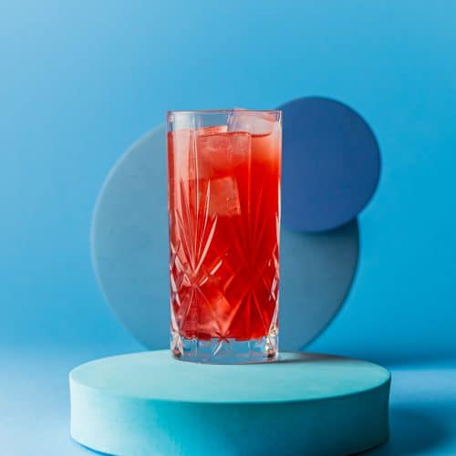 Sea Breeze Cocktail Drink