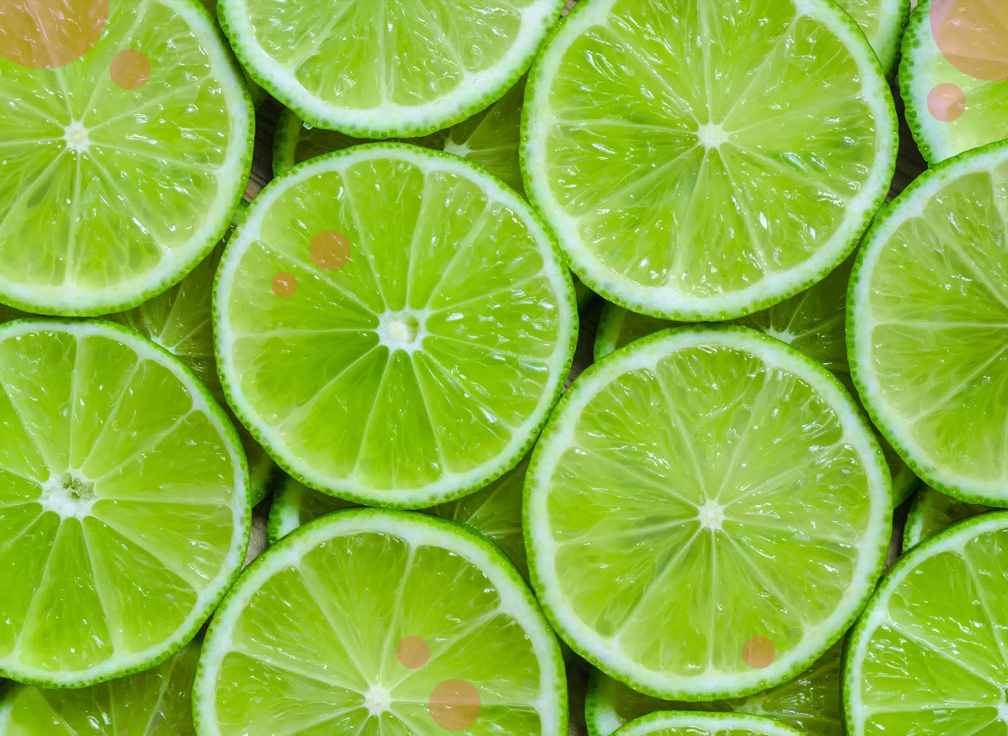 Many lime slices stacked covering all the surface.