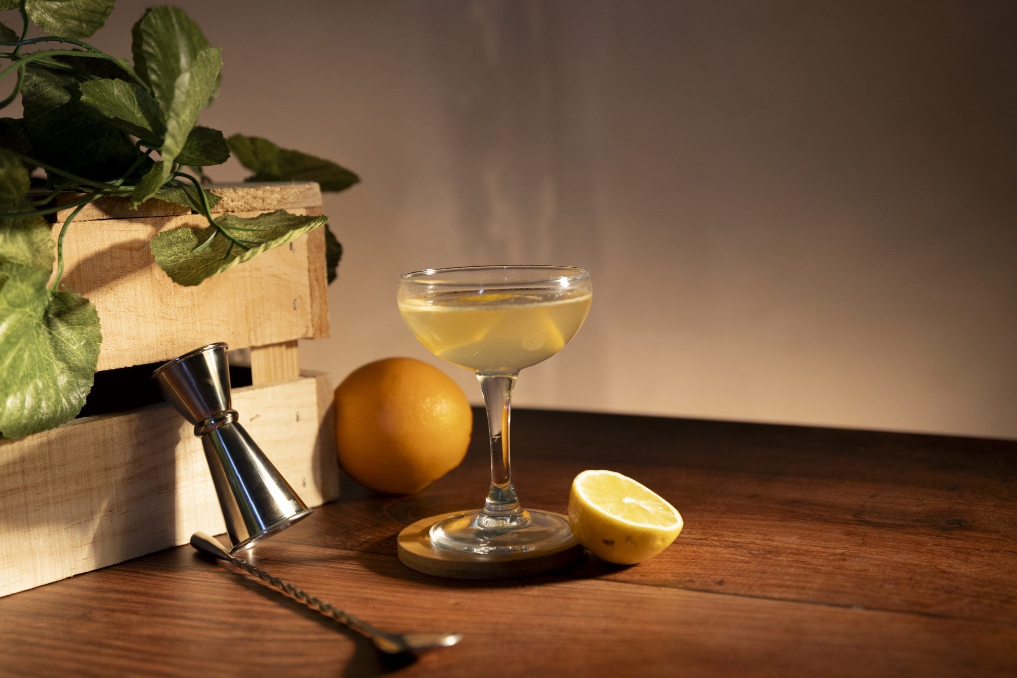 A side shot of a Tohyo Sidecar cocktail in a coupe glass on a wooden coaster surrounded by half a lemon, an orange, a jigger, a bar spoon and a wooden box with a plant inside