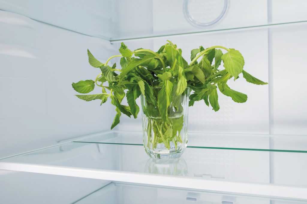 Mint Storage Best Ways to Store Mint to Keep It Fresh