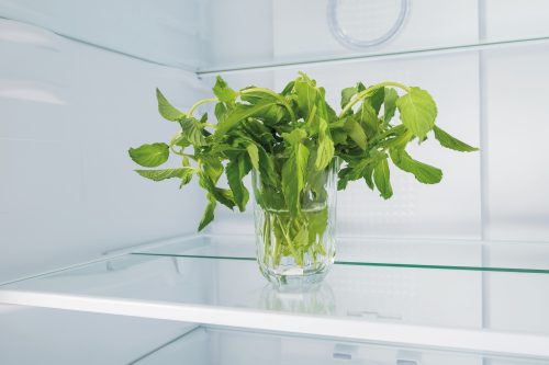 Best Ways to Store Mint to Keep It Fresh