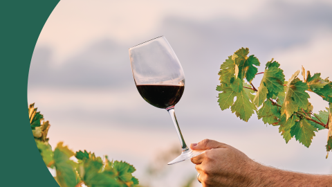 A shot of a hand holding the base of a red wine glass in a vineyard