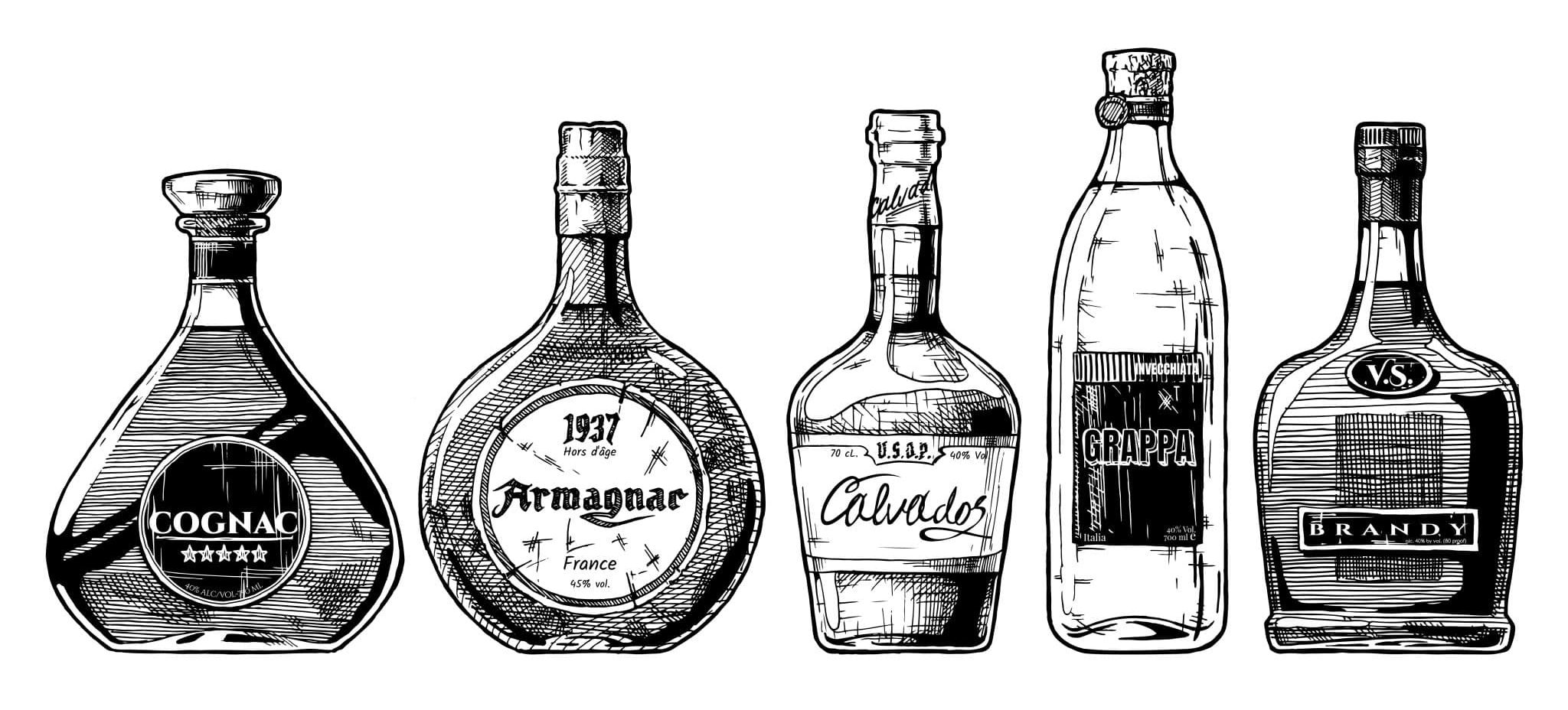Drawings of five bottles labeled Cognac, Armagnac, Calvados, Grappa, and Brandy showing different shapes and styles of brandy.