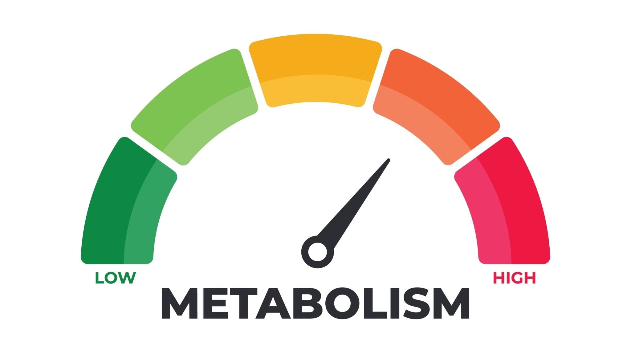 A metabolism scale with a white background