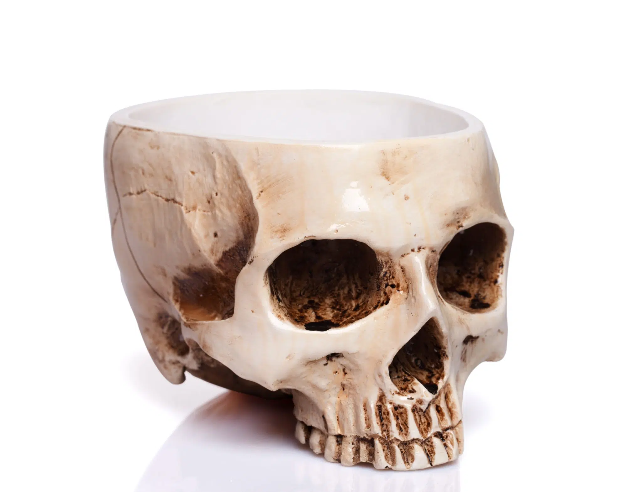 Skull cup