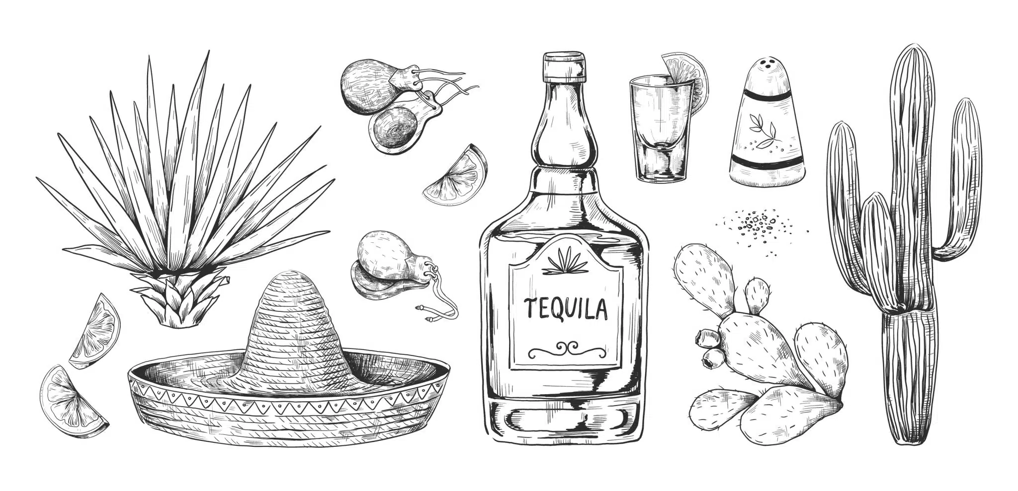 A sketch of tequila and Mexican items including a bottle, shot glass with lime, salt shaker, agave plant, maracas, sombrero, cactus, and prickly pear.